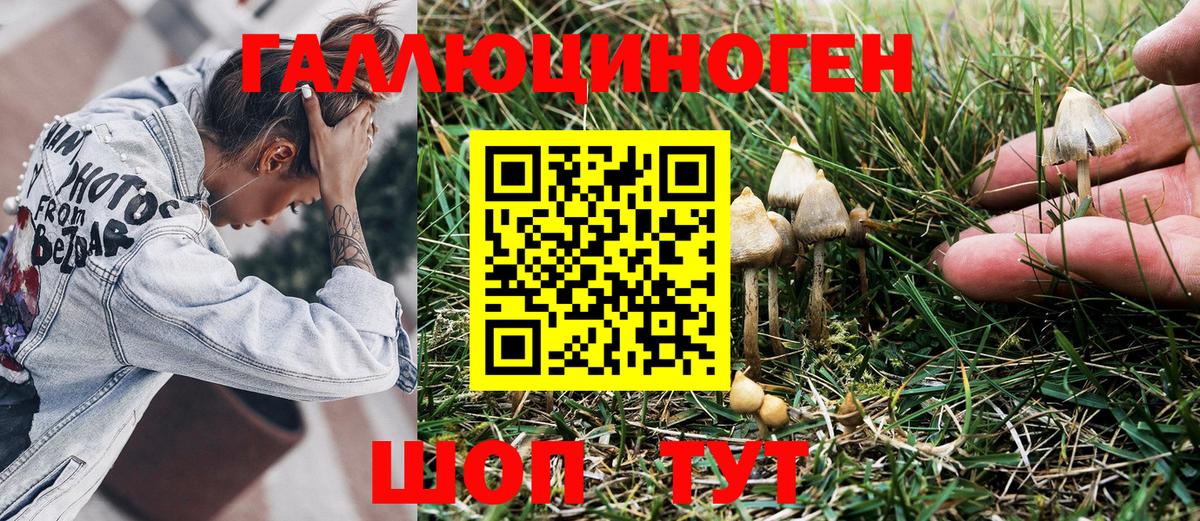 Галлюциногенные грибы Magic Shrooms  Вход с VPN  Галлюциногенные грибы Psilocybe  Обь 